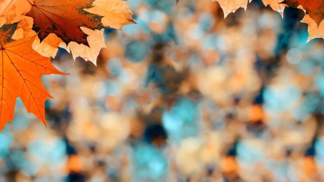 3. Športový deň – turistická vychádzka v Dvoroch nad Žitavou