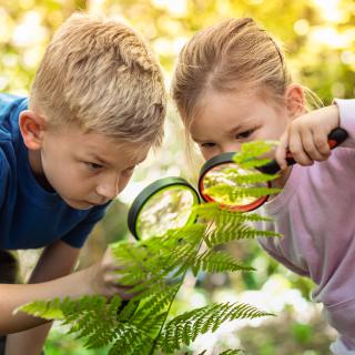 🌍 Spoločne sme skrášlili náš školský dvor 🌿
