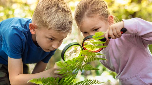🌍 Spoločne sme skrášlili náš školský dvor 🌿